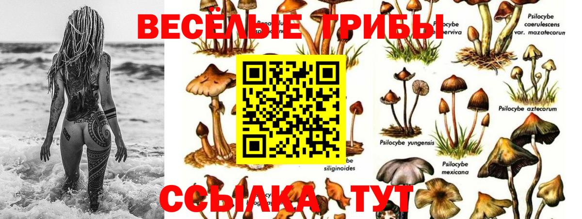 Псилоцибиновые грибы Psilocybe  Вход с VPN  Галлюциногенные грибы Cubensis  Тихорецк 