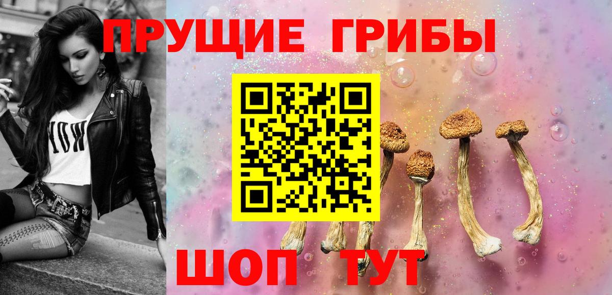 Галлюциногенные грибы Psilocybine cubensis Тихорецк